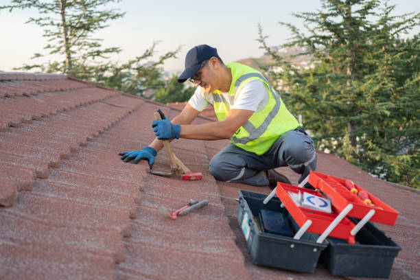 Best Residential Roofing Contractor  in Madison, SD