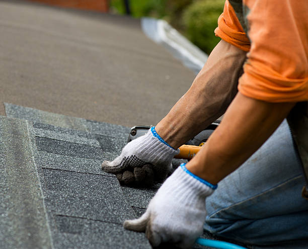 Best Roof Gutter Cleaning  in Madison, SD