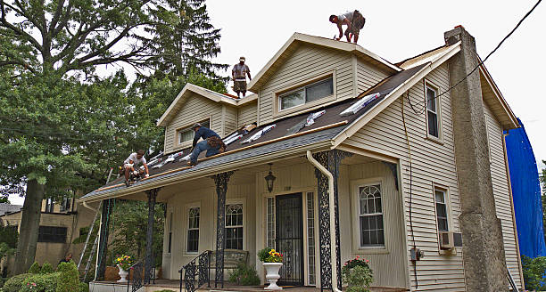Best Residential Roof Replacement  in Madison, SD